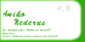 aniko mederus business card